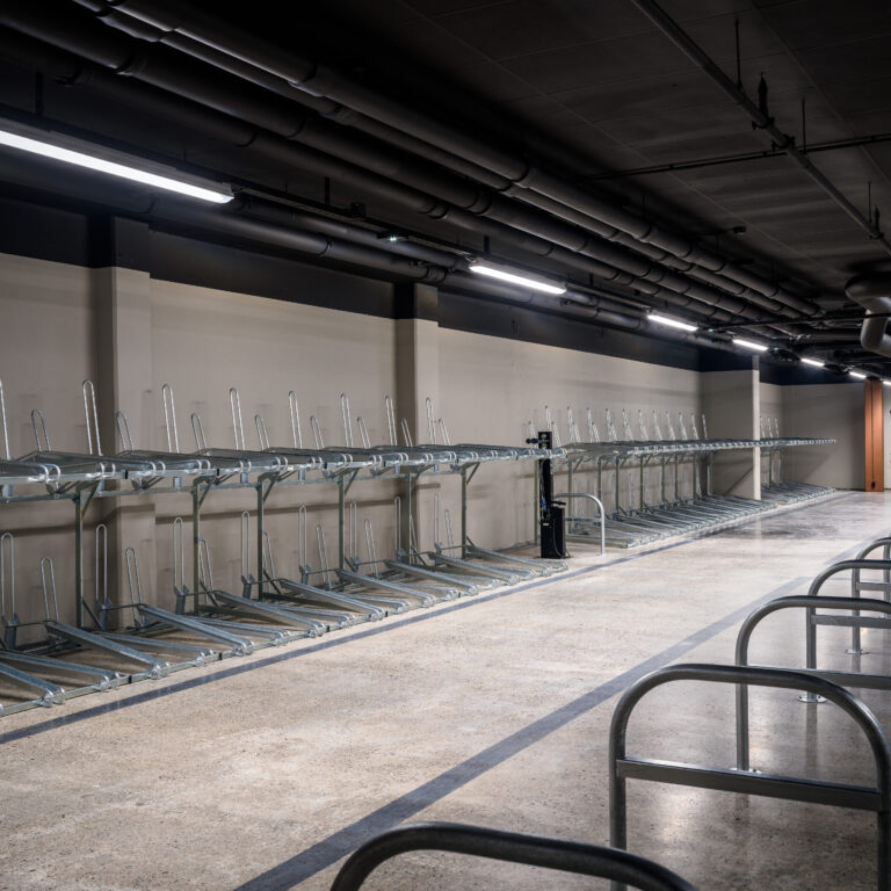 S2 Photo Knut Neerland 0039790